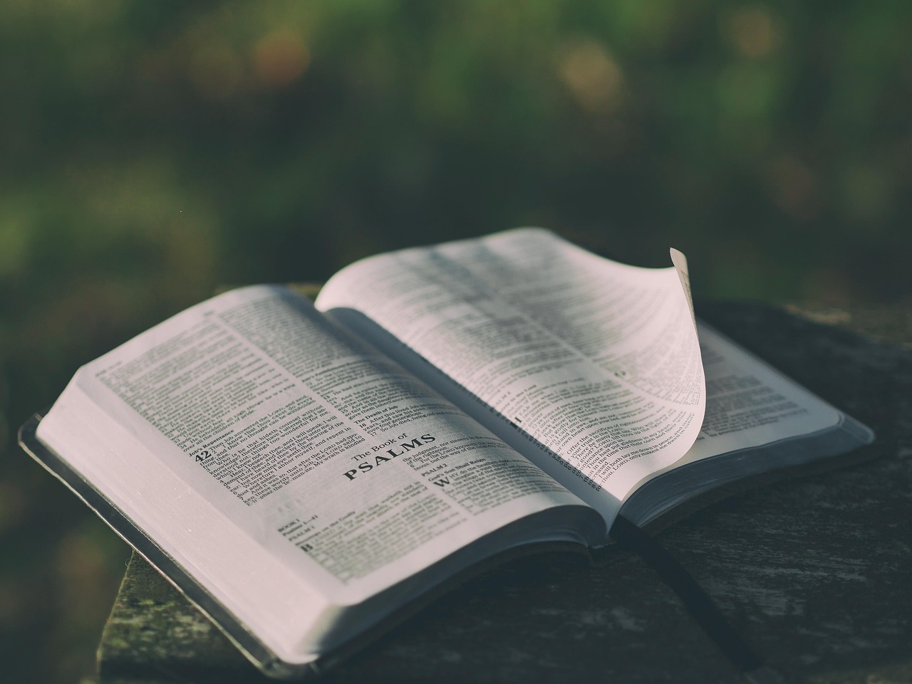 open bible sunlight worship scripture